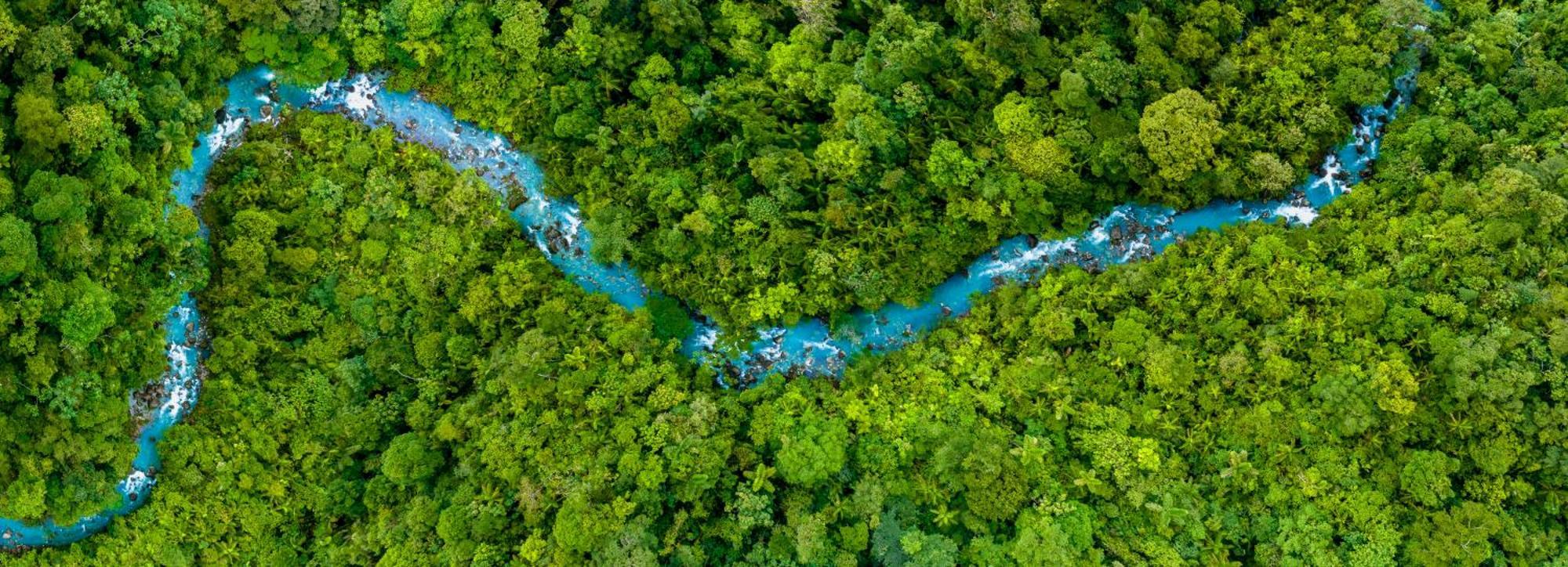 Hideaway Rio Celeste Hotel Бихагуа Екстериор снимка