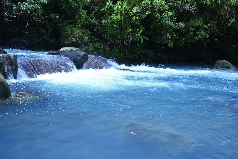 Hideaway Rio Celeste Hotel Бихагуа Екстериор снимка
