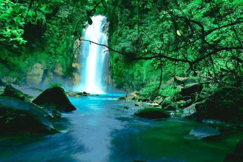 Hideaway Rio Celeste Hotel Бихагуа Екстериор снимка